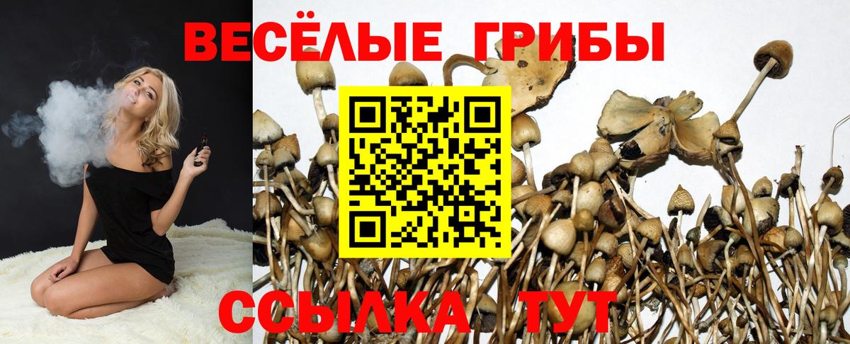 Галлюциногенные грибы Cubensis Ногинск
