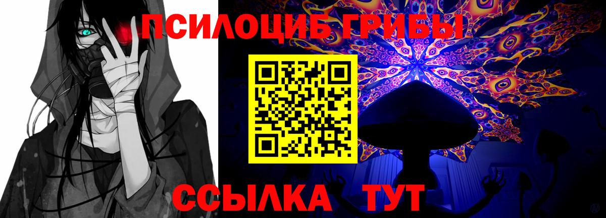 Ногинск  Галлюциногенные грибы MAGIC MUSHROOMS  Вход с VPN 